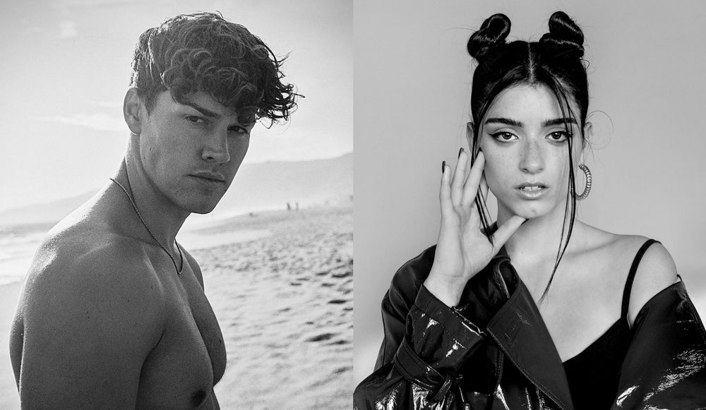 Noah Beck and Dixie D'Amelio