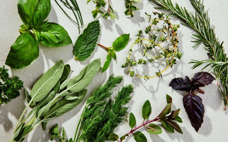 Green Herb