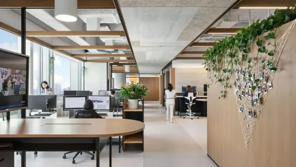 Traditional Offices 